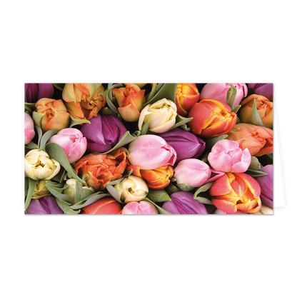 Tulpen - Formaat: Groot - Vorm: Liggend - Blanco kaart - Op deze wenskaart staan tulpen in de kleuren geel, oranje, roze en paars - Snelwenskaart