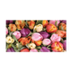 Tulpen - Formaat: Groot - Vorm: Liggend - Blanco kaart - Op deze wenskaart staan tulpen in de kleuren geel, oranje, roze en paars - Snelwenskaart