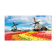 Tulpenveld - Formaat: Groot - Vorm: Liggend - Blanco kaart - Op deze wenskaart staat een tulpenveld met molens op de achtergrond. - Snelwenskaart