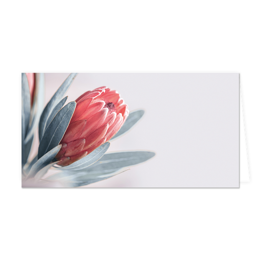 Bloem - Formaat: Groot - Vorm: Liggend - Blanco kaart - Op deze wenskaart staat een rode bloem op een grijze achtergrond. - Snelwenskaart
