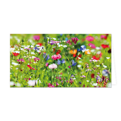 Bloemenveld - Formaat: Groot - Vorm: Liggend - Blanco kaart - Op deze wenskaart staat een bloemenveld met bloemen in de kleuren paars, blauw, roze, rood en wit. - Snelwenskaart