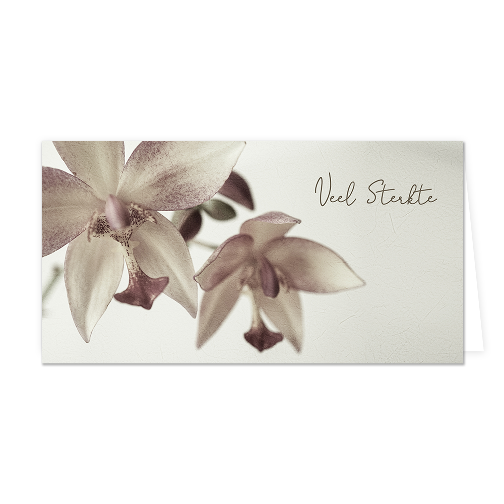 Veel sterkte - Formaat: Groot - Vorm: Liggend - Sterkte kaart - Op deze wenskaart staat twee grijze bloemen met daarnaast de tekst: "Veel sterkte". - Snelwenskaart