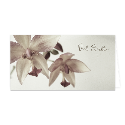 Veel sterkte - Formaat: Groot - Vorm: Liggend - Sterkte kaart - Op deze wenskaart staat twee grijze bloemen met daarnaast de tekst: "Veel sterkte". - Snelwenskaart