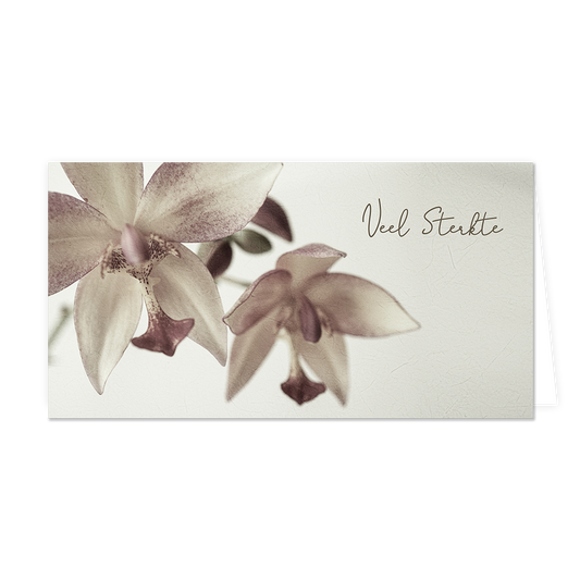 Veel sterkte - Formaat: Groot - Vorm: Liggend - Sterkte kaart - Op deze wenskaart staat twee grijze bloemen met daarnaast de tekst: "Veel sterkte". - Snelwenskaart