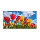 Tulpenveld - Formaat: Groot - Vorm: Liggend - Blanco kaart - Op deze wenskaart staat een tulpenveld met de kleuren rood en geel. - Snelwenskaart
