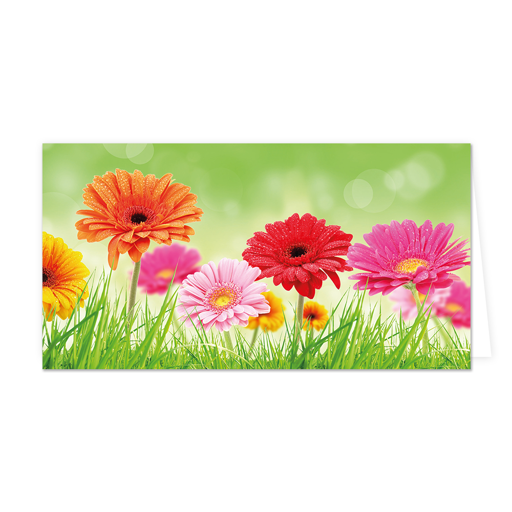 Bloemen - Formaat: Groot - Vorm: Liggend - Blanco kaart - Op deze wenskaart staan bloemen in de kleuren oranje, rood, geel en roze. - Snelwenskaart