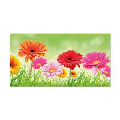 Bloemen - Formaat: Groot - Vorm: Liggend - Blanco kaart - Op deze wenskaart staan bloemen in de kleuren oranje, rood, geel en roze. - Snelwenskaart