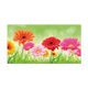 Bloemen - Formaat: Groot - Vorm: Liggend - Blanco kaart - Op deze wenskaart staan bloemen in de kleuren oranje, rood, geel en roze. - Snelwenskaart