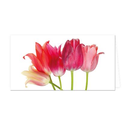 Roze tulpen - Formaat: Groot - Vorm: Liggend - Blanco kaart - Op deze wenskaart staan tulpen in diverse kleuren roze. - Snelwenskaart