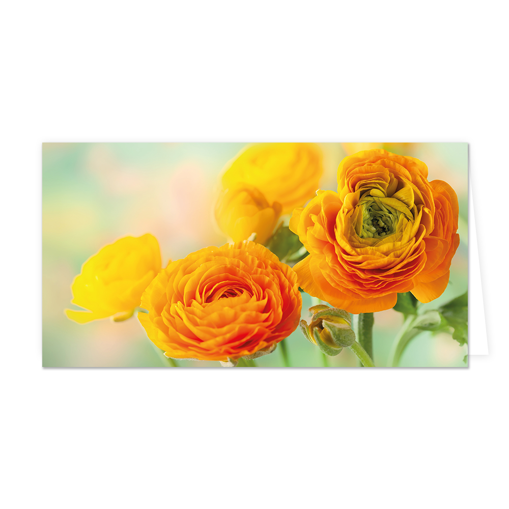 Bloemen - Formaat: Groot - Vorm: Liggend - Blanco kaart - Op deze wenskaart staan geel/oranje bloemen. - Snelwenskaart