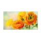 Bloemen - Formaat: Groot - Vorm: Liggend - Blanco kaart - Op deze wenskaart staan geel/oranje bloemen. - Snelwenskaart