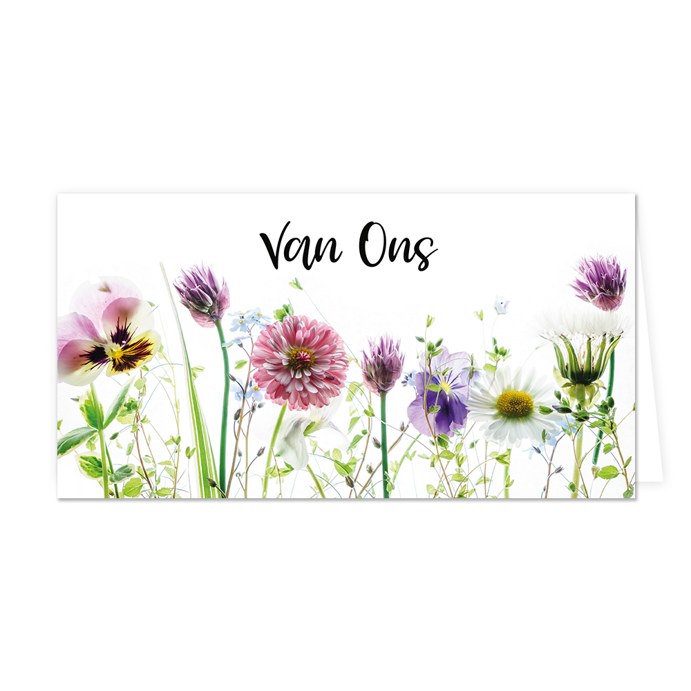 Van ons - Formaat: Groot - Vorm: Liggend - Denken aan kaart - Op deze wenskaart staan bloemen in de kleuren blauw, wit, paars, geel en roze met daarboven de tekst: "Van ons". - Snelwenskaart