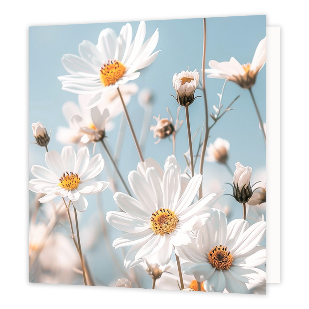 Mini boemenkaartje - Madeliefjes - Formaat: Klein - Vorm: Vierkant - Blanco kaart - Op deze wenskaart staan madeliefjes. - Snelwenskaart