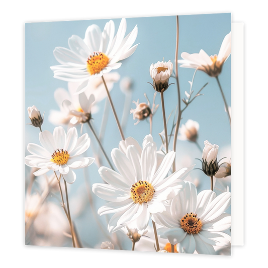 Mini boemenkaartje - Madeliefjes - Formaat: Klein - Vorm: Vierkant - Blanco kaart - Op deze wenskaart staan madeliefjes. - Snelwenskaart