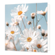 Mini boemenkaartje - Madeliefjes - Formaat: Klein - Vorm: Vierkant - Blanco kaart - Op deze wenskaart staan madeliefjes. - Snelwenskaart