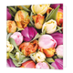 Bloemenkaartje - Tulpen - Formaat: Klein - Vorm: Vierkant - Blanco kaart - Op deze wenskaart staan tulpen in de kleuren roze, oranje en geel. - Snelwenskaart