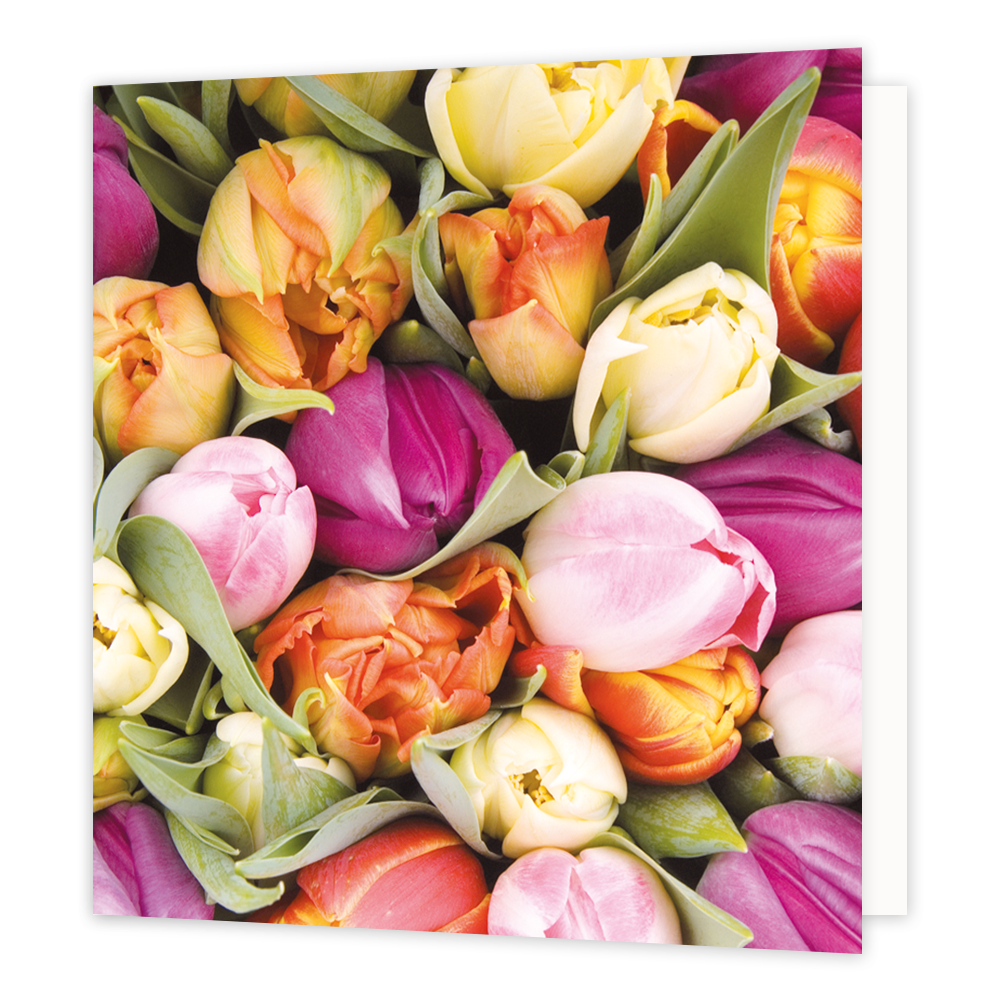 Mini bloemenkaartje - Tulpen - Formaat: Klein - Vorm: Vierkant - Blanco kaart - Op deze wenskaart staan tulpen in de kleuren roze, oranje en geel. - Snelwenskaart