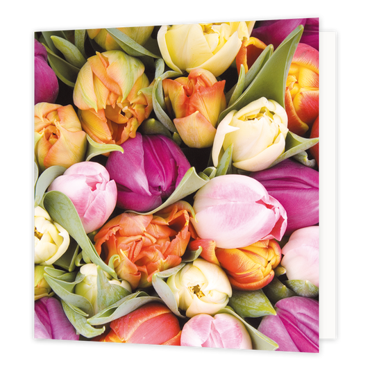 Mini bloemenkaartje - Tulpen - Formaat: Klein - Vorm: Vierkant - Blanco kaart - Op deze wenskaart staan tulpen in de kleuren roze, oranje en geel. - Snelwenskaart