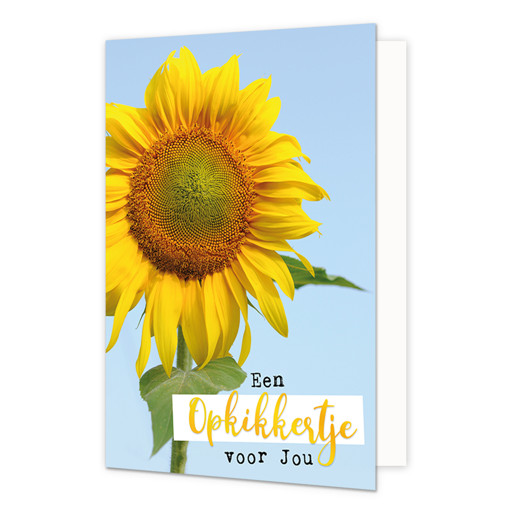 Een opkikkertje voor jou - Formaat: Normaal - Vorm: Staand - Opkikker kaart - Op deze wenskaart staat een grote zonnebloem met daaronder de tekst: "Een opkikkertje voor jou". - Snelwenskaart