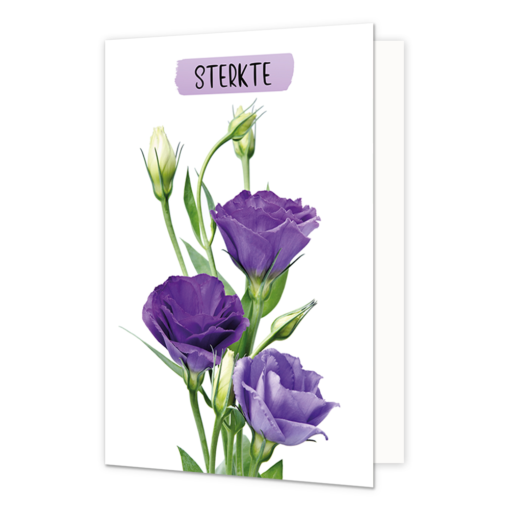 Sterkte - Formaat: Normaal - Vorm: Staand - Sterkte kaart - Op deze wenskaart staan paarse en witte bloemen met daarboven de tekst: "Sterkte". - Snelwenskaart
