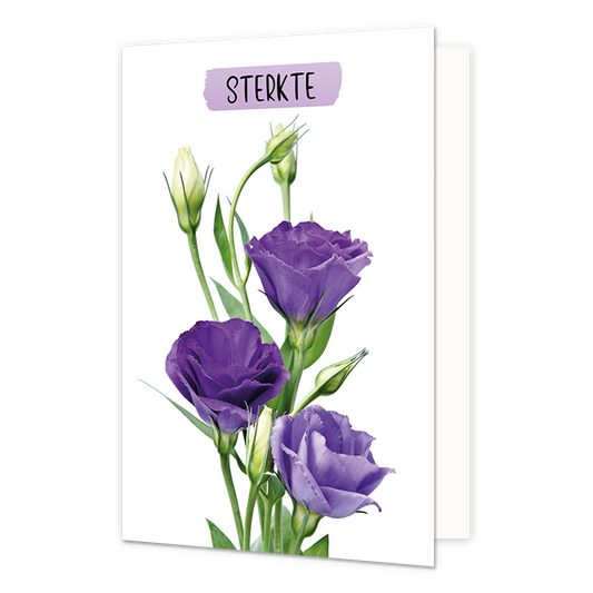 Sterkte - Formaat: Normaal - Vorm: Staand - Sterkte kaart - Op deze wenskaart staan paarse en witte bloemen met daarboven de tekst: "Sterkte". - Snelwenskaart