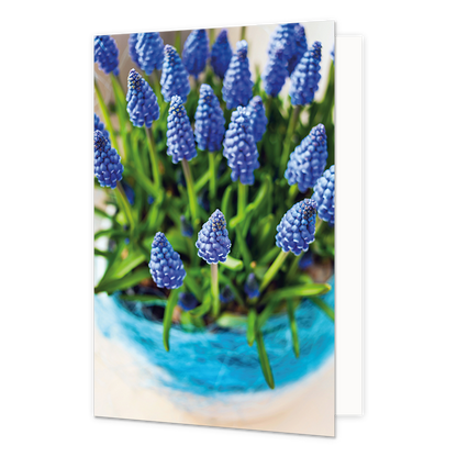 Bloemen - Formaat: Standaard - Vorm: Staand - Blanco kaart - Op deze wenskaart staan blauwe bloemen. - Snelwenskaart
