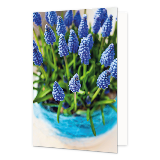 Bloemen - Formaat: Normaal - Vorm: Staand - Blanco kaart - Op deze wenskaart staan blauwe bloemen. - Snelwenskaart