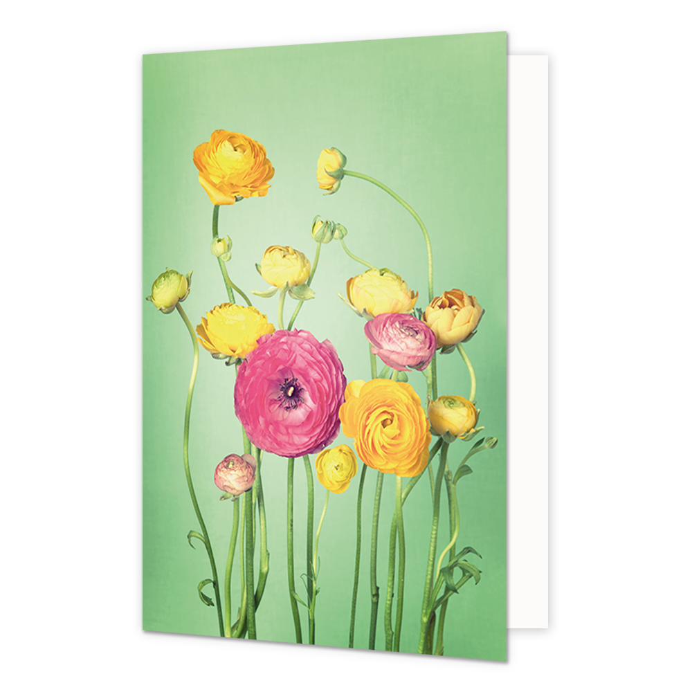 Dahlia's - Formaat: Standaard - Vorm: Staand - Blanco kaart - Op deze wenskaart staan dahlia's in de kleuren roze en geel. - Snelwenskaart