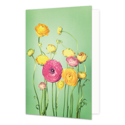 Dahlia's - Formaat: Standaard - Vorm: Staand - Blanco kaart - Op deze wenskaart staan dahlia's in de kleuren roze en geel. - Snelwenskaart