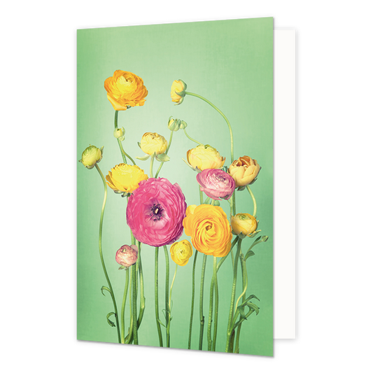 Dahlia's - Formaat: Normaal - Vorm: Staand - Blanco kaart - Op deze wenskaart staan dahlia's in de kleuren roze en geel. - Snelwenskaart