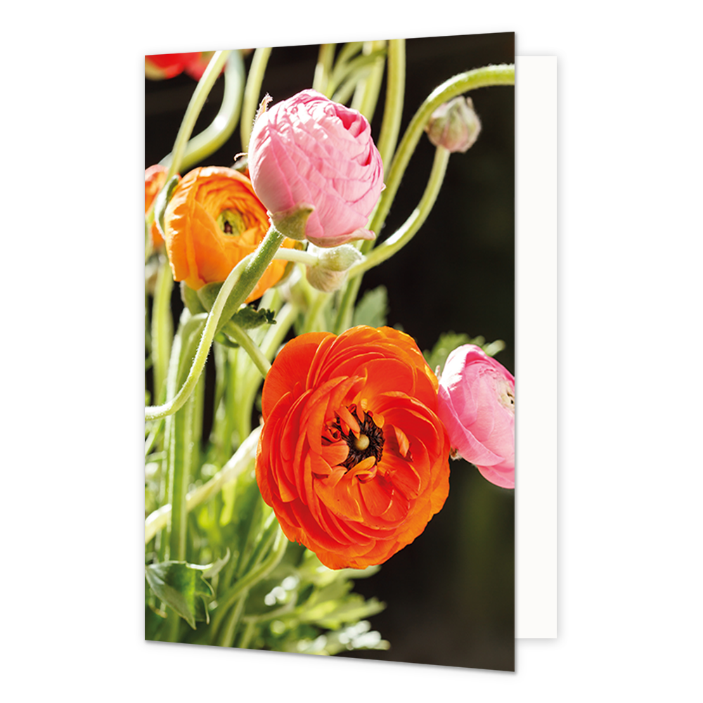 Bloemen - Formaat: Normaal - Vorm: Staand - Blanco kaart - Op deze wenskaart staan bloemen in de kleuren oranje en roze. - Snelwenskaart