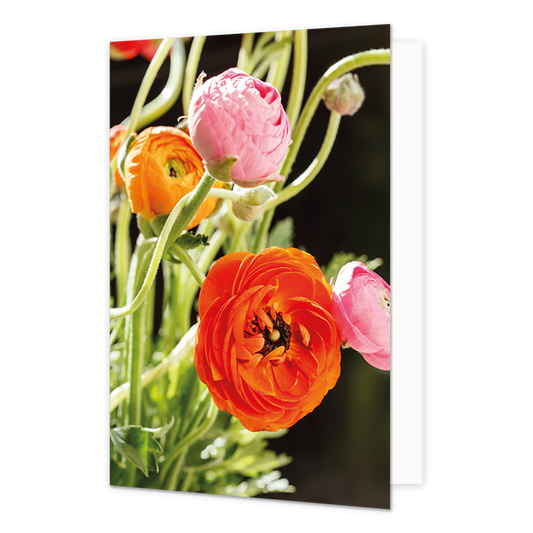 Bloemen - Formaat: Normaal - Vorm: Staand - Blanco kaart - Op deze wenskaart staan bloemen in de kleuren oranje en roze. - Snelwenskaart