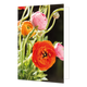 Bloemen - Formaat: Normaal - Vorm: Staand - Blanco kaart - Op deze wenskaart staan bloemen in de kleuren oranje en roze. - Snelwenskaart