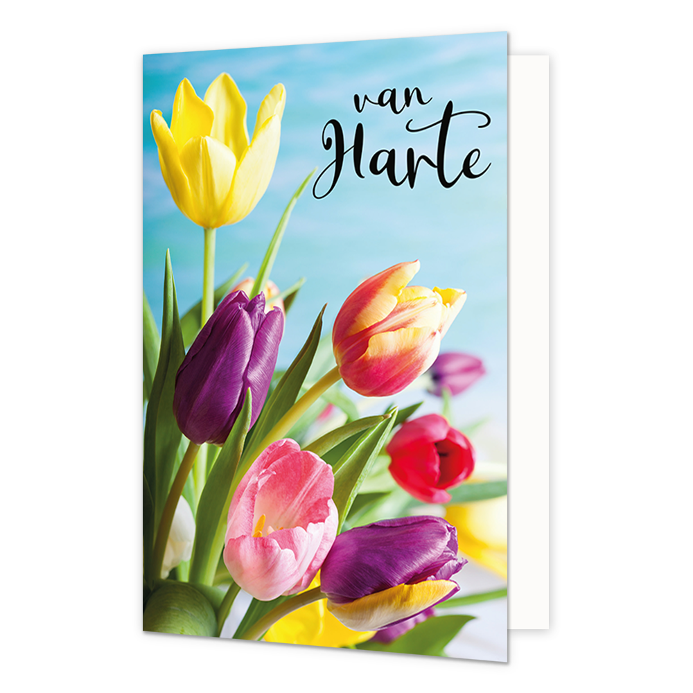 Van harte - Formaat: Standaard - Vorm: Staand - Felicitatiekaart - Op deze wenskaart staan tulpen in de kleuren geel, paars, roze, rood en oranje met daarboven de tekst: "Van harte". - Snelwenskaart