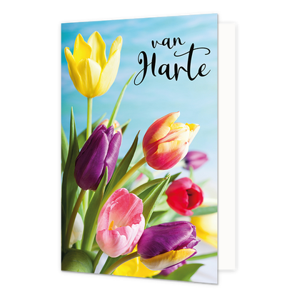 Van harte - Formaat: Standaard - Vorm: Staand - Felicitatiekaart - Op deze wenskaart staan tulpen in de kleuren geel, paars, roze, rood en oranje met daarboven de tekst: "Van harte". - Snelwenskaart