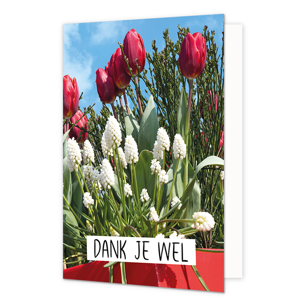 Dankjewel - Formaat: Normaal - Vorm: Staand - Bedankkaart - Op deze wenskaart staan bloemen in de kleuren rood en wit met daaronder de tekst: "Dank je wel". - Snelwenskaart