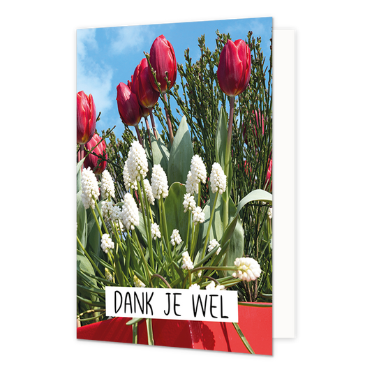 Dankjewel - Formaat: Normaal - Vorm: Staand - Bedankkaart - Op deze wenskaart staan bloemen in de kleuren rood en wit met daaronder de tekst: "Dank je wel". - Snelwenskaart