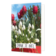 Dankjewel - Formaat: Standaard - Vorm: Staand - Bedankkaart - Op deze wenskaart staan bloemen in de kleuren rood en wit met daaronder de tekst: "Dank je wel". - Snelwenskaart
