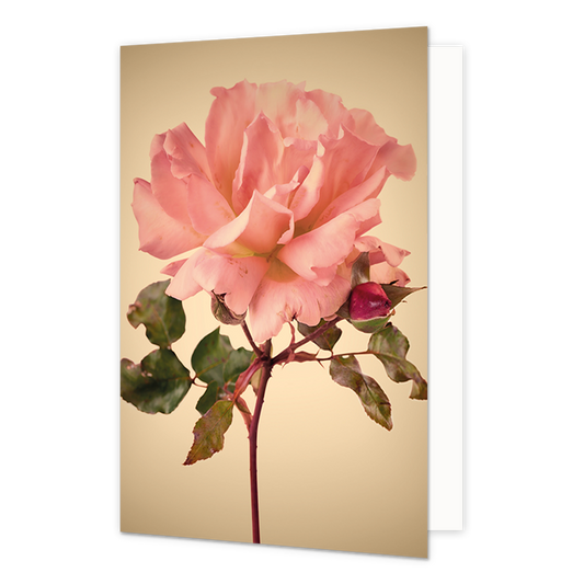 Roze bloem - Formaat: Normaal - Vorm: Staand - Blanco kaart - Op deze wenskaart staat een grote roze bloem. - Snelwenskaart