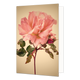 Roze bloem - Formaat: Standaard - Vorm: Staand - Blanco kaart - Op deze wenskaart staat een grote roze bloem. - Snelwenskaart