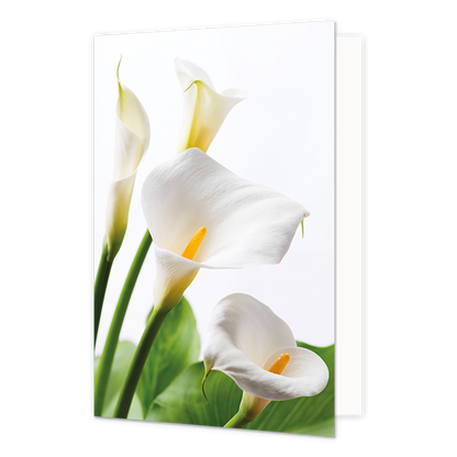 Witte bloemen - Formaat: Normaal - Vorm: Staand - Blanco kaart - Op deze wenskaart staan witte bloemen. - Snelwenskaart