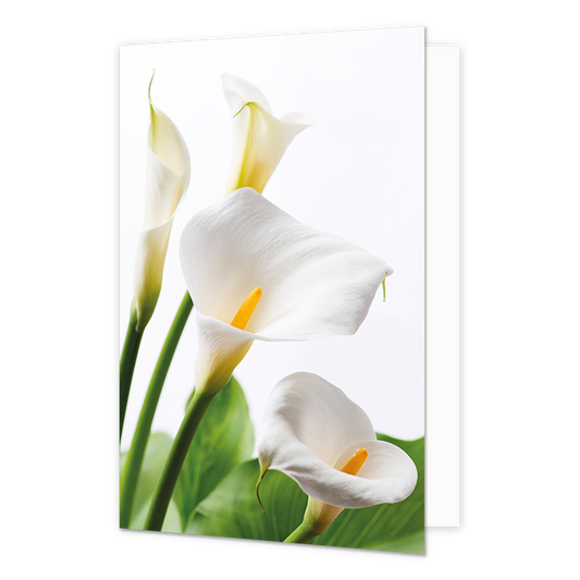 Witte bloemen - Formaat: Normaal - Vorm: Staand - Blanco kaart - Op deze wenskaart staan witte bloemen. - Snelwenskaart