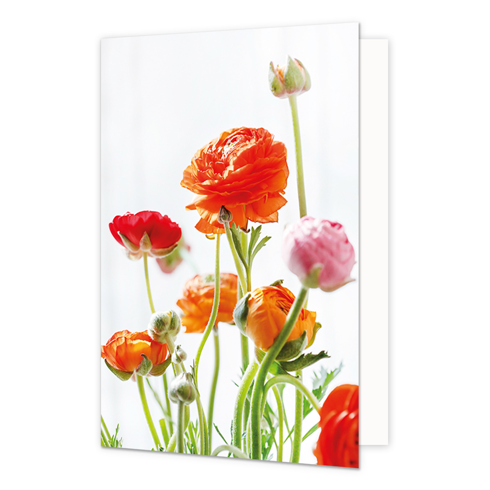Bloemen - Formaat: Standaard - Vorm: Staand - Blanco kaart - Op deze wenskaart staan bloemen in de kleuren oranje, rood en roze. - Snelwenskaart