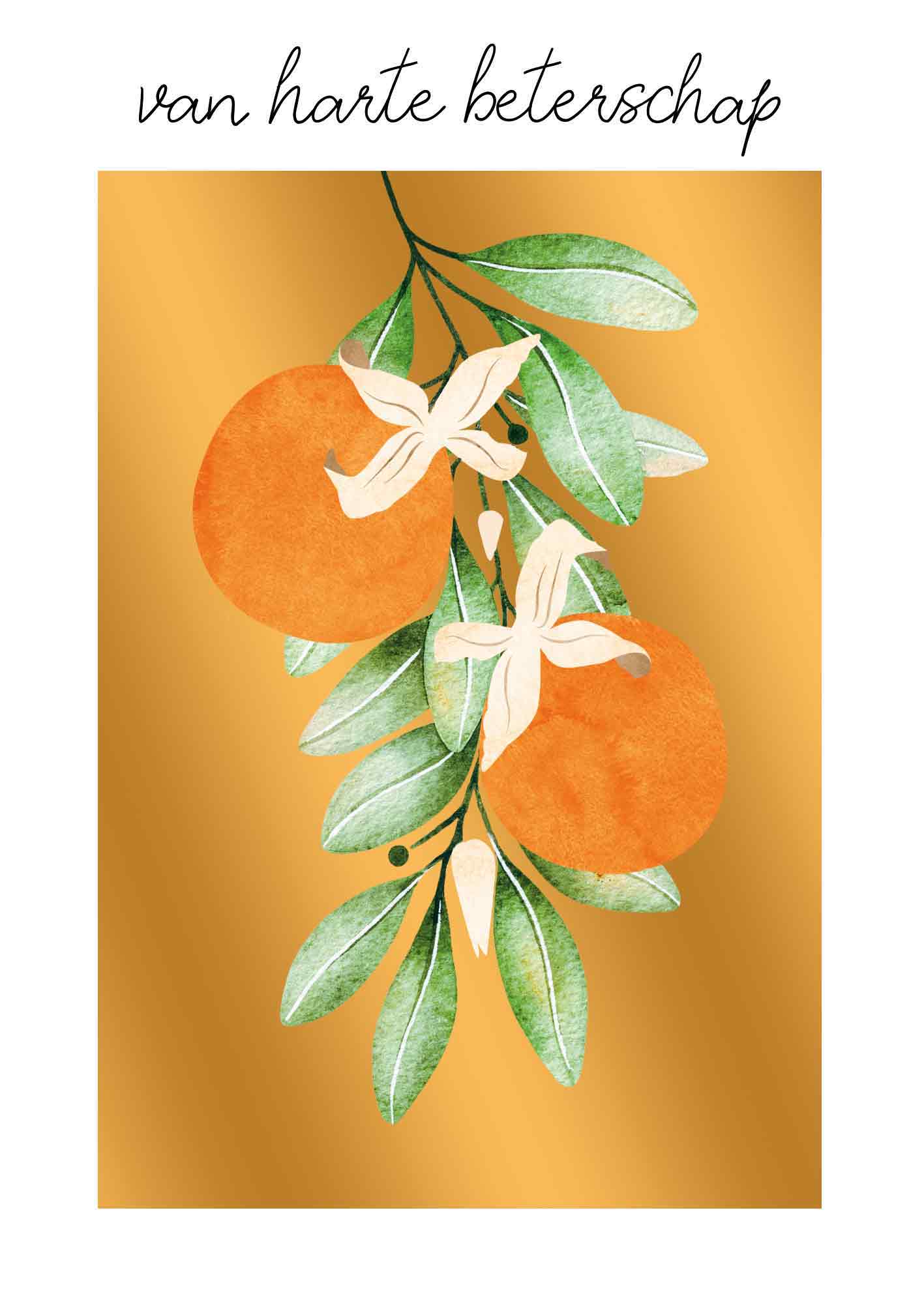 Van harte beterschap