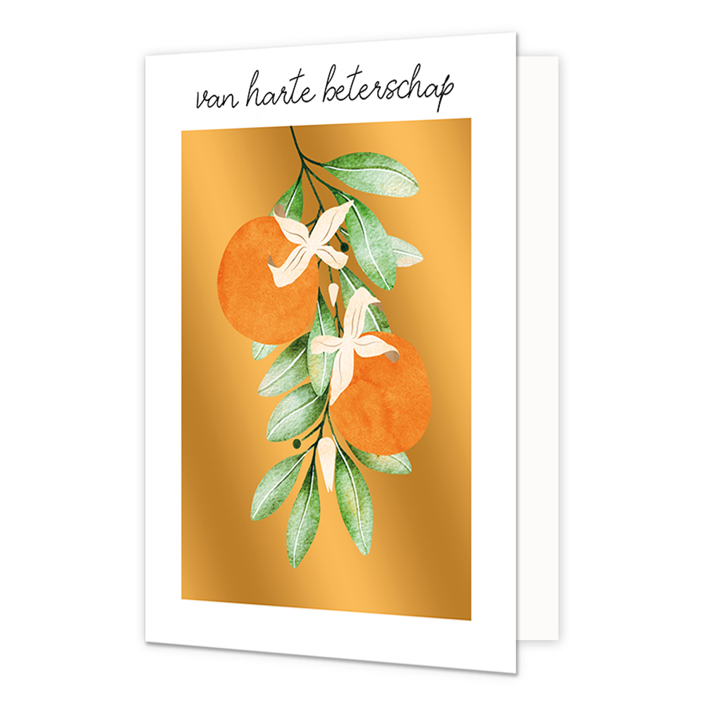 Van harte beterschap