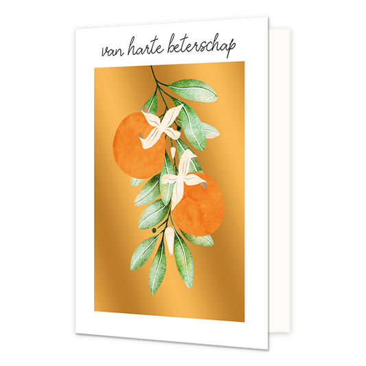 Van harte beterschap