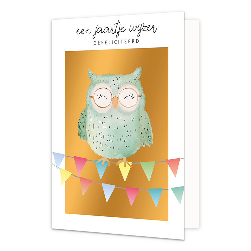 Een jaartje wijzer gefeliciteerd - Formaat: Normaal - Vorm: Staand - Verjaardagskaart - Op deze wenskaart staat een mintgroene uil die op slingers staat. Boven de illustratie staat de tekst: "Een jaartje wijzer gefeliciteerd'. - Snelwenskaart