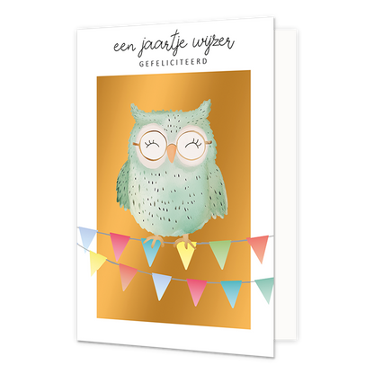 Een jaartje wijzer gefeliciteerd - Formaat: Normaal - Vorm: Staand - Verjaardagskaart - Op deze wenskaart staat een mintgroene uil die op slingers staat. Boven de illustratie staat de tekst: "Een jaartje wijzer gefeliciteerd'. - Snelwenskaart