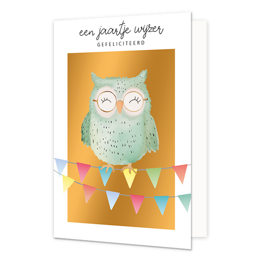 Een jaartje wijzer gefeliciteerd - Formaat: Normaal - Vorm: Staand - Verjaardagskaart - Op deze wenskaart staat een mintgroene uil die op slingers staat. Boven de illustratie staat de tekst: "Een jaartje wijzer gefeliciteerd'. - Snelwenskaart