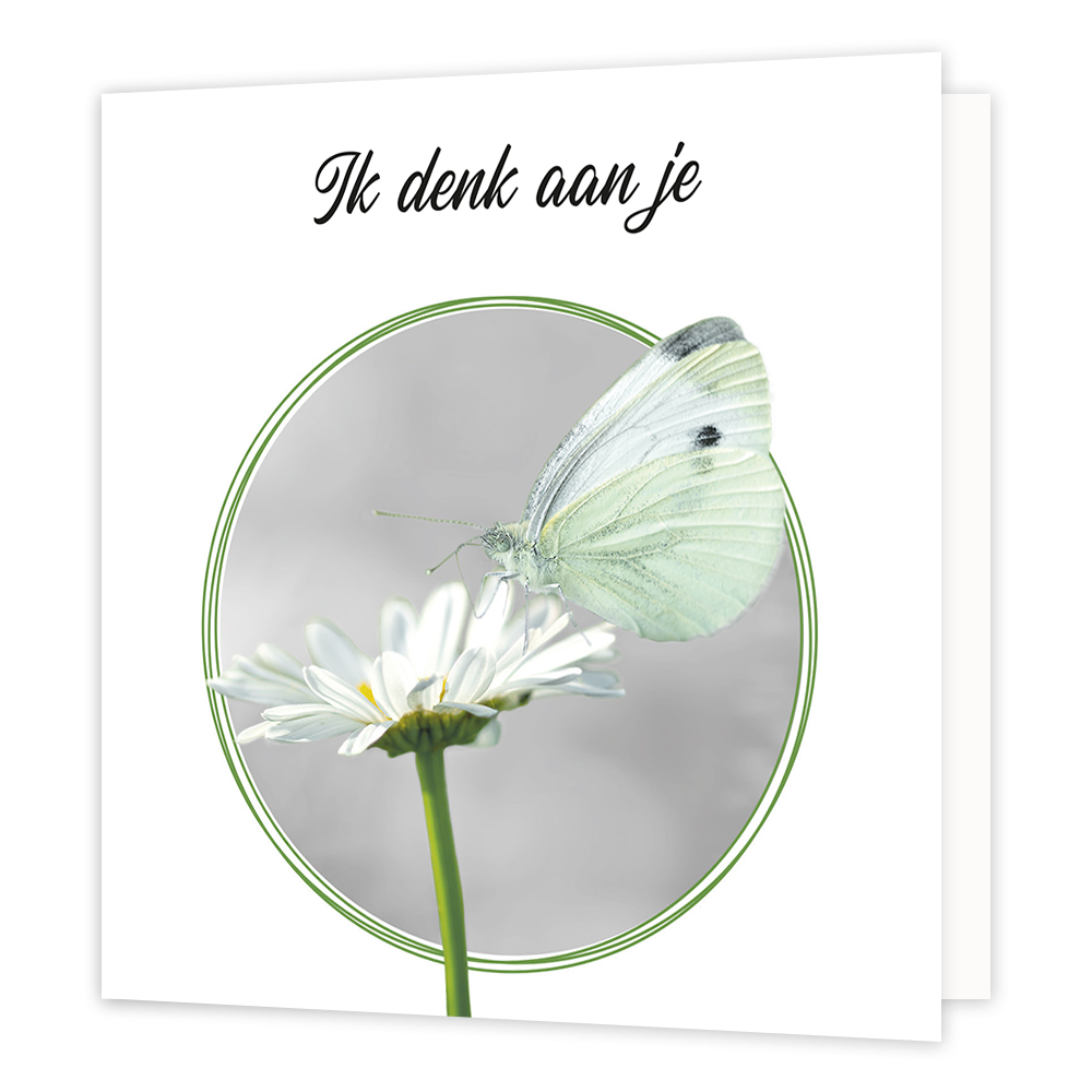 Ik denk aan je - Formaat: Standaard - Vorm: Vierkant - Condoleance kaart - Op deze wenskaart staat een witte bloem waar een witte vlinder op zit. Boven de illustratie staat de tekst: "Ik denk aan je". - Snelwenskaart